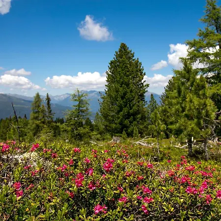 Almdorf Stadl By Alps Stadl an der Mur