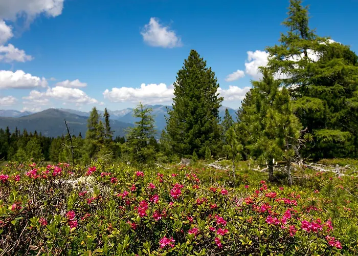 Almdorf Stadl By Alps Stadl an der Mur